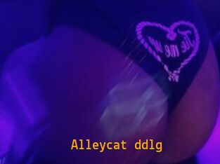 Alleycat_ddlg