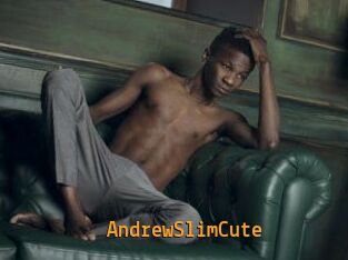 AndrewSlimCute