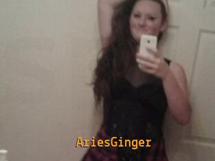 AriesGinger