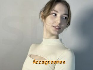 Accagroomes