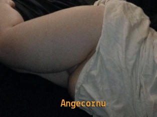 Angecornu