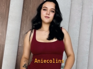 Aniecolins