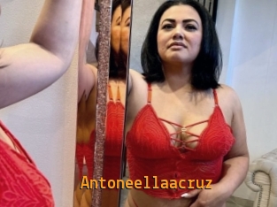 Antoneellaacruz