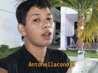 Antonellaconors