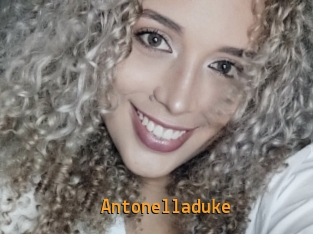 Antonelladuke