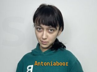 Antoniaboor