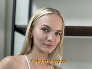 Antoniacatts