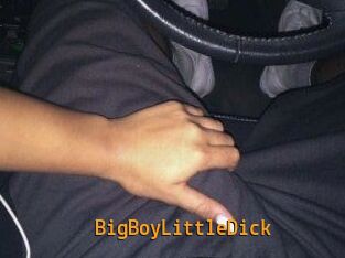 BigBoyLittleDick