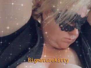Bigmaturekitty
