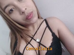 Convallaria