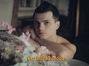 CupidSalvadore