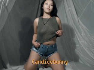 Candicebunny