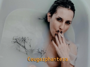 cougarphantera Sexcam Portal
