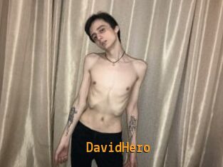 DavidHero