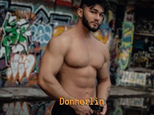 Donmerlin