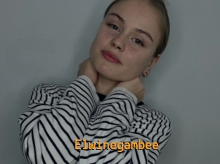 Elwinegambee