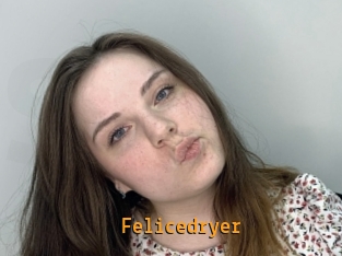 Felicedryer