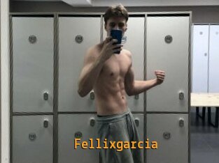 Fellixgarcia