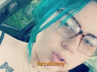 HareBunny