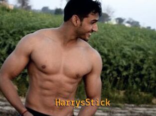 HarrysStick
