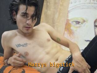 Harrys_bigstick Sexcam Portal