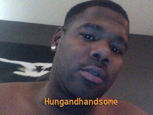 Hungandhandsome