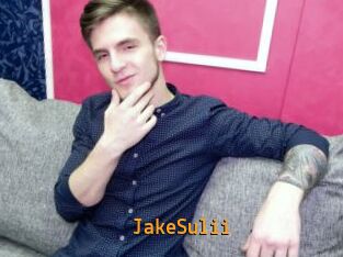 JakeSulii
