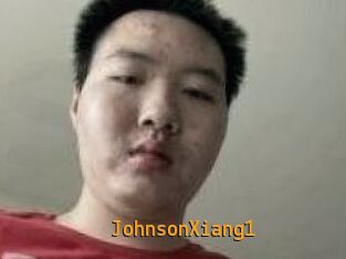 JohnsonXiang1