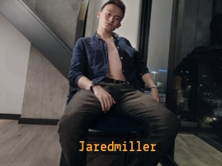 jaredmiller Sexcam Portal