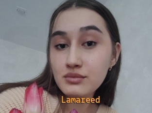 Lamareed