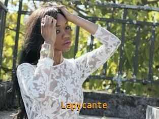 Lapycante