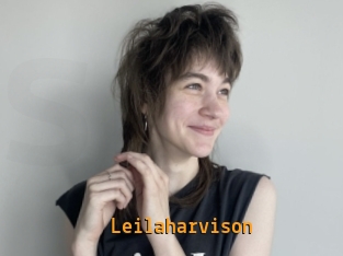 Leilaharvison