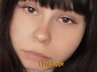 Lynbigge