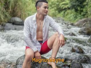 MagnusWayne
