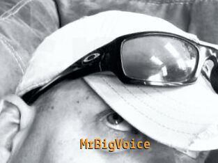 MrBigVoice