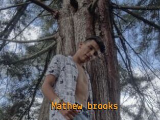 Mathew_brooks