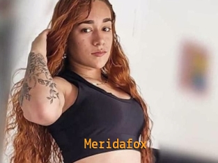 Meridafox