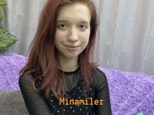 Minamiler