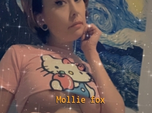 Mollie_fox