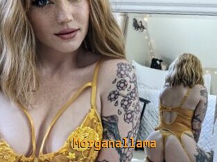 Morganallama