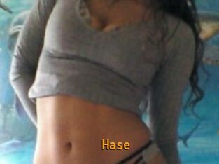 Hase