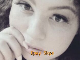 Opay_Skye