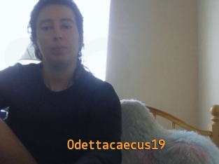 Odettacaecus19