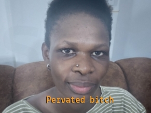 Pervated_bitch