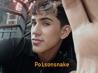 Poisonsnake