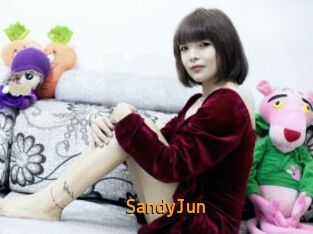 SandyJun