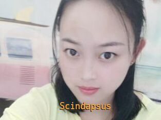 Scindapsus