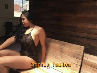 Sophia_harlow