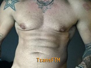 TransFTM Sexcam Portal