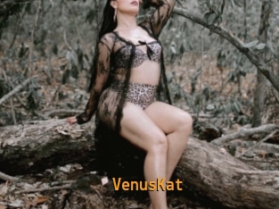 VenusKat
